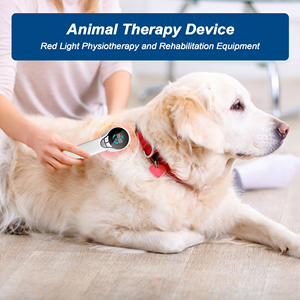Tıbbi lazer veteriner araçları at ağrı kesici kedi yosun cilt köpek eklemler için lazer fizik tedavi cihazı - Product Image 4
