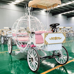 Calèche Cendrillon abordable pour événements spéciaux Visite royale Calèche à cheval Citrouille Entraîneur en vente - Product Image 5