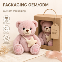 Peluche Ours Brodé Personnalisé Direct Usine, Anti-Stress, Tissu Ultra Doux, Artisanat OEM/ODM pour Marques IP Originales