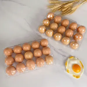 15 Cartons d'œufs en plastique jetables transparents Blister en plastique PET Cartons d'œufs en plastique Fournisseurs de plateaux d'œufs