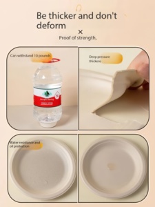 Assiettes en papier compostables durables de 9 pouces, les plus vendues, vaisselle jetable pour servir des sushis, des gâteaux, des pâtes et des plats de légumes - Product Image 6