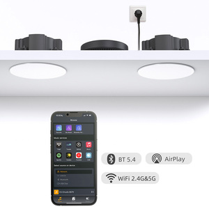 IPX6 wasserdichter passiver Decken lautsprecher WiFi 2.4G & 5G BT 5.4 AUX USB Smart Audio System Streamer Empfänger mit Verstärker - Product Image 4