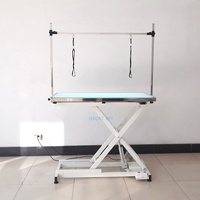 Table de toilettage électrique à LED OSCAT pour animaux de compagnie avec interrupteur à bouton, verre trempé de 8 mm, pour salon de toilettage