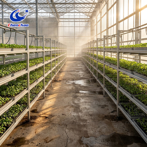 Professional Mobile Ebb and Flow Table with Durable Aluminum Frame for Commercial Greenhouse and <strong>Industrial</strong> <strong>Hydroponic</strong> Pro - Product Image 3