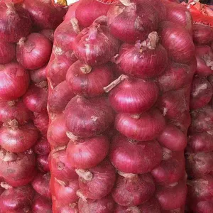 Vente en gros d'oignons frais de haute qualité de Chine oignons à peau rouge oignons rouges violets