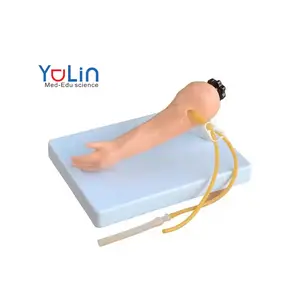 Simulateur médical Avancé Infant Full Body Venipuncture Simulator pour l'enseignement