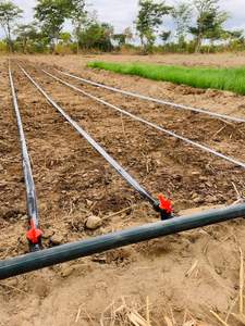 <span class=keywords><strong>Enrouleur</strong></span> de tuyau d'irrigation 16 mm, ruban <span class=keywords><strong>goutte</strong></span>-<span class=keywords><strong>à</strong></span>-<span class=keywords><strong>goutte</strong></span> 2 L par heure, système d'irrigation <span class=keywords><strong>goutte</strong></span>-<span class=keywords><strong>à</strong></span>-<span class=keywords><strong>goutte</strong></span> avec accessoires, tuyau d'eau agricole - Product Image 5