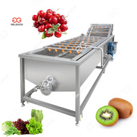 Gelgoog Kleine Ananas Durian Bosbessen Productielijn Met Luchtbel Reiniging En Verpakking Voedselverwerkende Machine