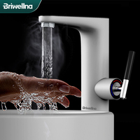Chauffe-eau électrique instantané extérieur en plastique Briwellna 220V 3200W avec affichage LED de la température et chauffage rapide
