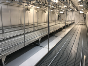 Mobiele Kamerplant Kweektafel V-Baan Rollenbank Voor Hydrocultuurkas - Product Image 6