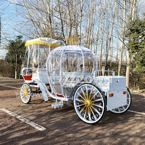 La calèche citrouille est une magnifique calèche de tourisme avec rideaux de pluie, idéale pour les mariages en plein air dans les parcs panoramiques. - Product Image 3