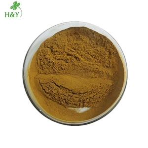 Healthway Natürliches Pulver Shilajit-Extrakt 40% Fulvinsäure Shilajit-Tabletten - Product Image 1