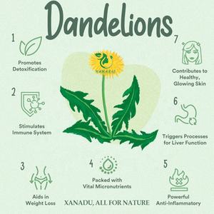 天然タンポポ手作り炒めルーズティー葉クリア内部ヒートデトックス高品質ハーブティールート - Product Image 4