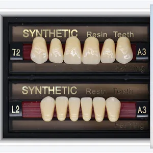 Dents dentaires artificielles dures de résine arylique de service d'OEM d'usine avec l'excellent polissage