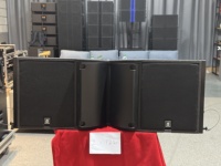 Altavoces Profesionales de Línea de Arreglo Lineal para Conciertos, de 800 W, 2 Vías, Neodimio, Pasivos, Duales, de 12 Pulgadas