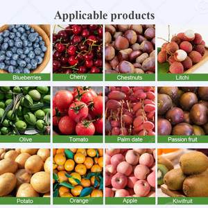 Machine de tri et de calibrage de taille pour tomates cerises aigres industrielles, à base de pesée, à vendre - Product Image 6