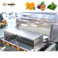 Automatische fruit- en groentewas- en sorteermachine, verwerkingslijn voor radijsjes en groenten.