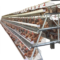 Cage à poules pondeuses en batterie, équipement d'élevage en acier galvanisé à chaud pour l'agriculture