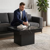 Table basse carrée en marbre BANTO, design moderne minimaliste de luxe léger, cadre en bois haut de gamme BTCT007, garantie 1 an pour le salon