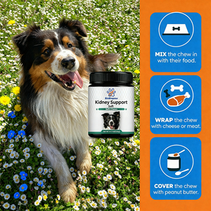 ผลิตภัณฑ์เสริมอาหารเคี้ยวนุ่มสำหรับสุนัขดูดซึมได้อย่างรวดเร็วฉลากสนับสนุนการปรับแต่งได้ - Product Image 5