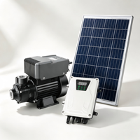 Pompe à eau solaire pour l'irrigation des fermes rurales et des légumes, sans besoin d'électricité