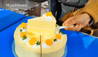 Machine de découpe de pâtisserie à ultrasons commerciale pour gâteaux ronds