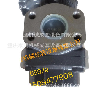 Pompe à engrenages série Kracht Kf150, pompe hydraulique rotative en fonte pour machines industrielles - Product Image 4