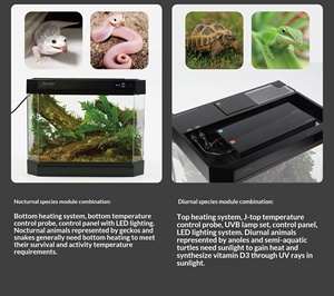 Modular Smart <strong>Reptile</strong> <strong>Terrarium</strong> with Dual-Zone Temperature Control and Automatic Spraying Rectangle Glass Design for Home Use - Product Image 6