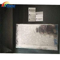Protège-permis temporaire en PVC transparent
