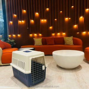 Cage de transport pour animaux de compagnie, vente chaude en usine, en plastique PP, respirante sur tous les côtés pour prévenir l'anxiété - Product Image 2