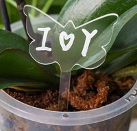 Étiquettes de Jardin Multitailles Réutilisables en Acrylique pour Plantes – Utilisation Intérieure et Extérieure – Étiquettes Transparentes en Acrylique Imperméables avec Trou de Drainage à Suspendre