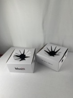 Boîte de fleuriste biodégradable, valise pliable, emballage personnalisé pour plantes succulentes, emballage en carton pour plantes en pot vivantes, boîte d'expédition