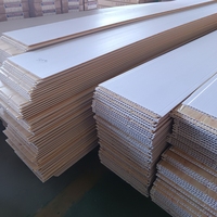 Paneles de Techo de PVC Acústicos de Alta Calidad, Lámina de Techo Corrugada de PVC Plástico para Decoración