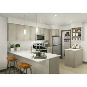 Fabrikdirekt Küchenschrank benutzerdefiniertes modernes Design Schrank Küchenschrank für Wohnung
