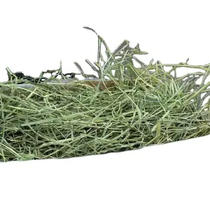 2022 Rumput Alfalfa Kelinci Kering Chinchilla Marmut Babi Belanda Kotak 1KG