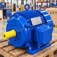 Moteur asynchrone BIORTE AC 220V, efficacité standard, entièrement fermé, triphasé, 5,5 kW-30 kW, 1500 tr/min, IP55 pour machines à ciment