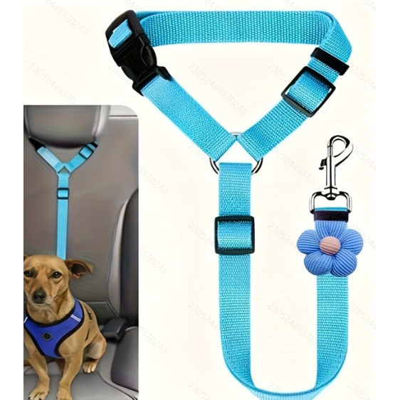 corde simple, bleu ciel