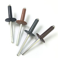 Rivets aveugles personnalisés OEM/ODM, fabrication sur mesure de fixations à rivets pour les besoins et projets spécifiques de l'industrie