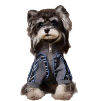 Vêtements de luxe élégants et respirants en polyester rayé pour chien, parfaits pour l'automne – Tenue chaude et lavable pour l'extérieur pour Schnauzer et Bichon