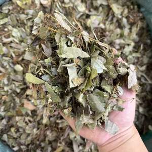 Натуральный Эпимедиум: Оптовая Продажа Сухих Листьев Эпимедиума Напрямую с Фабрики, Отборные Традиционные Натуральные Травы - Product Image 4