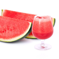 Poudre de jus de pastèque naturelle pure d'approvisionnement d'usine ISO 100% poudre de fruit de pastèque séchée par pulvérisation soluble dans l'eau échantillon gratuit disponible