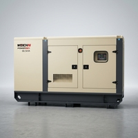 Groupe électrogène diesel silencieux Weichai 100 kW triphasé 125 kVA pour applications commerciales et agricoles – Vente directe usine