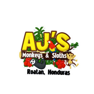 Imán de PVC para Refrigerador, Decoración Magnética Moldeada en 3D de Goma Suave de Cloruro de Polivinilo, Diseño Personalizado de Fábrica para Exportación Global - Product Image 3