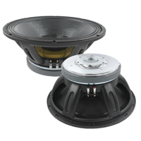 Haut-parleur subwoofer 18 pouces haute puissance 3600W double aimant 280mm Haut-parleur 5 pouces bobine vocale