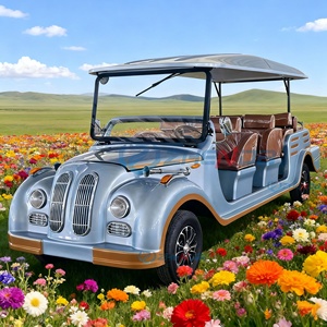 Autobús Clásico Eléctrico Retro de Cuatro Ruedas, el Más Vendido, con 5-15 Asientos, para Recorridos Turísticos, Fabricantes con Certificación CE - Product Image 4
