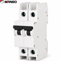 Caja de disyuntores MCB personalizada Wanbo-407, OEM de China, disyuntor de 2 polos IEC 60947-2 para tablero de distribución y armario eléctrico
