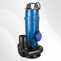 Haute qualité 1hp pompe submersible haute pression vide personnalisable OEM pompes de puits centrifuges pour eaux usées eaux usées DC unique