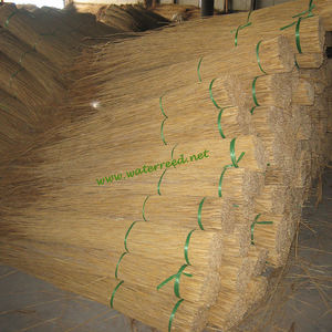 Wasser <span class=keywords><strong>Reed</strong></span> Für Thatching - Product Image 5