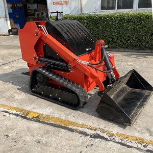 Mini-chargeuse compacte sur chenilles à moteur essence ou diesel, 300 kg, 400 kg, 660 lb, 880 lb, homologuée EPA, idéale pour le jardin - Vente chaude - Product Image 3