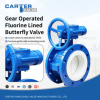 Válvula de mariposa manual de gas con engranaje sin fin revestido de flúor, tipo Lug, autoblocante, de gran diámetro, para desulfuración de aguas residuales, PN16, SS316